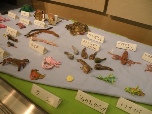 紙粘土で作った水辺の生き物たち２