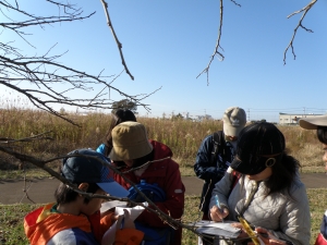 ヤマグワ観察中