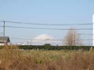 雪の積もった富士山