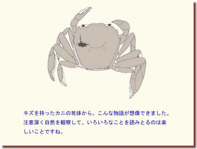 その時カニに何が起こったか８
