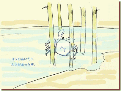 ヨシの根際で餌を食べるカニ