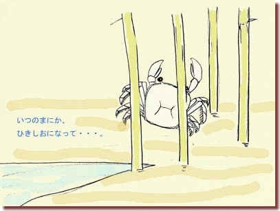 引き潮で取り残されたカニ