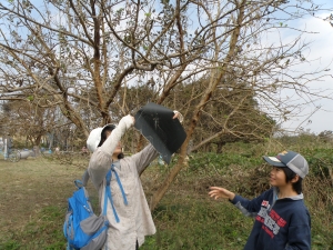 はみ出た糸を巻き取ろうと苦戦中