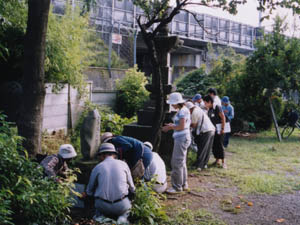 石仏を調べる会