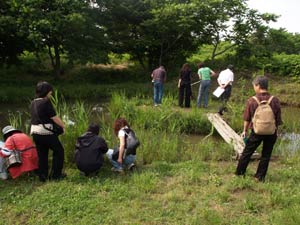 0水辺の楽校(小学校教科研究会生活科の研修会)