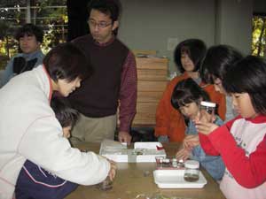 体験講座「プラスチック封入標本作り」