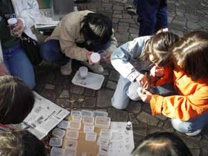 体験講座「プラスチック封入標本作り」