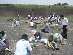 自然観察入門講座「貝化石を調べよう」