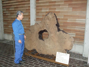 4000年の歴史を刻む神代杉を設置