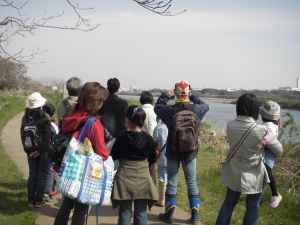 特別展関連行事「水辺の楽校で遊ぼう」　川岸で休むカワウを観察中。