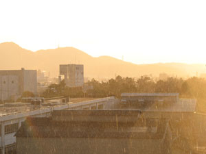 平塚に雹が降る。