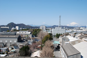 箱根の山も薄化粧