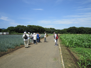 平塚の遺跡を歩く