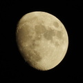 月2 20201126平塚(撮影　剱持瑞穂）