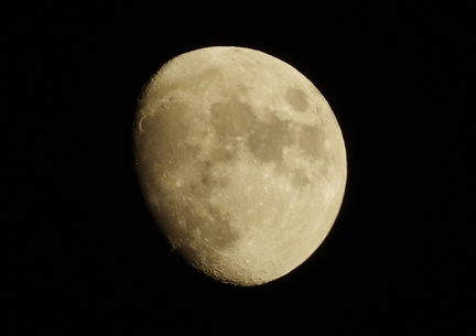 月2 20201126平塚(撮影　剱持瑞穂）