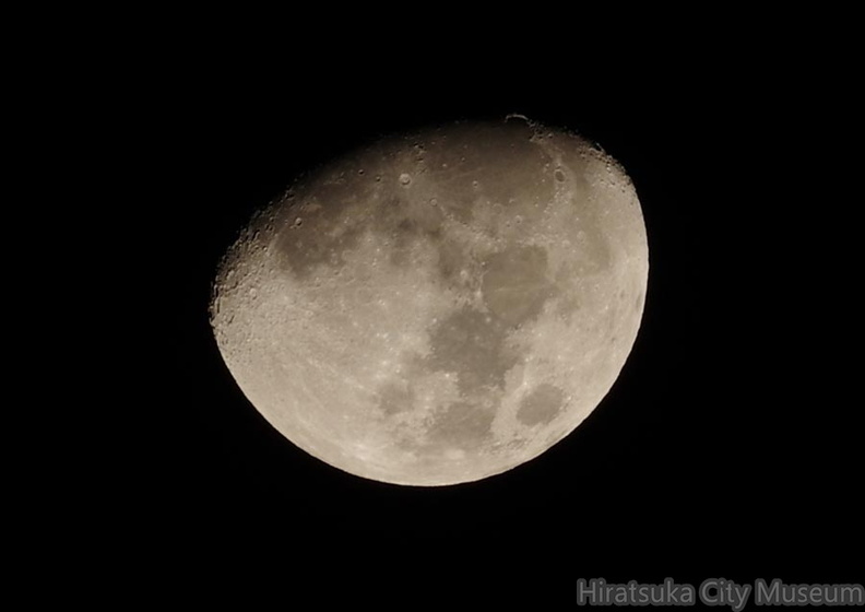 月2_20201125平塚(撮影　剱持瑞穂）.jpg