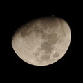 月2 20201125平塚(撮影　剱持瑞穂）