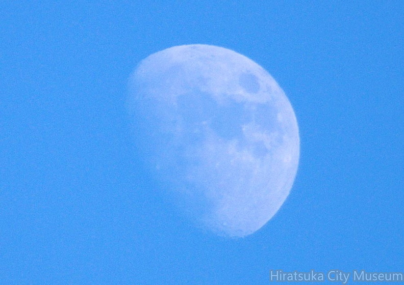 月20201125平塚(撮影　剱持瑞穂）.jpg