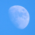 月20201125平塚(撮影　剱持瑞穂）