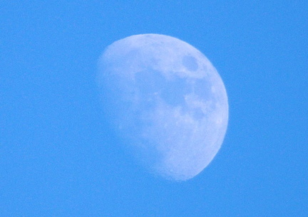 月20201125平塚(撮影　剱持瑞穂）