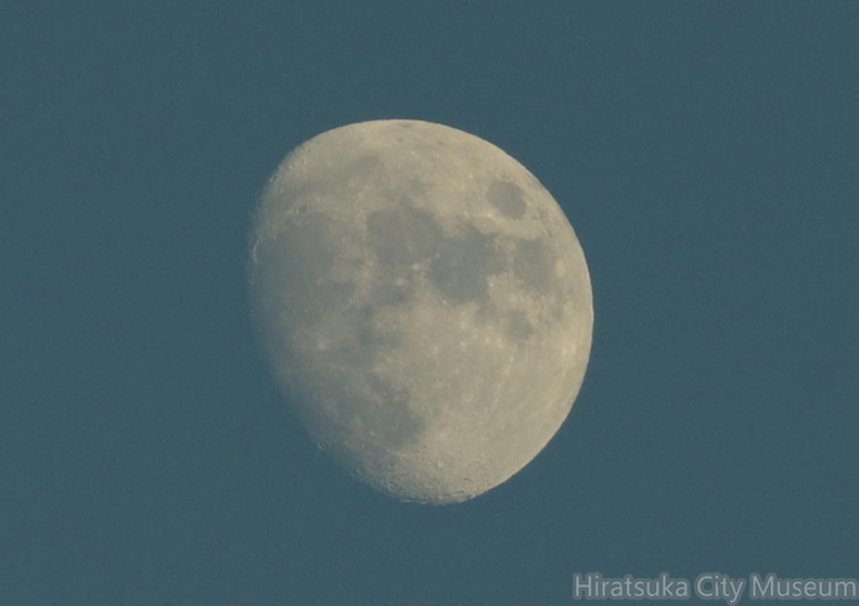 月20201126平塚(撮影　剱持瑞穂）.jpg