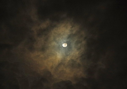 月の彩雲2 20201126平塚(撮影　剱持瑞穂）