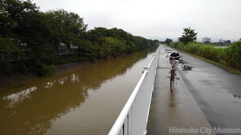 増水した河内川2021.07.03平塚（撮影　岡根武彦）.jpg