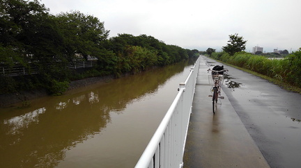 増水した河内川2021.07.03平塚（撮影　岡根武彦）