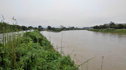 増水した花水川2021.07.03平塚（撮影　岡根武彦）