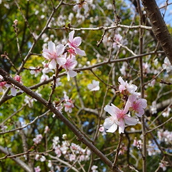 秋の自然観察（撮影　松本富美江）