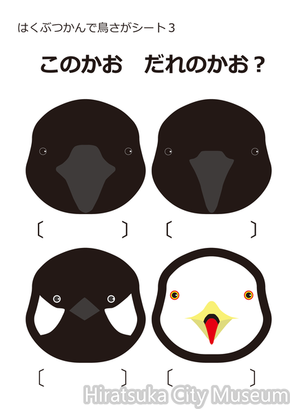 シート3.png