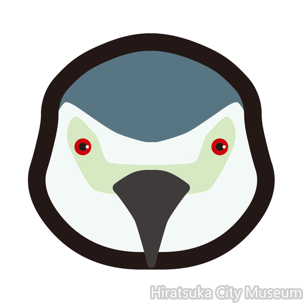 ゴイサギ.png