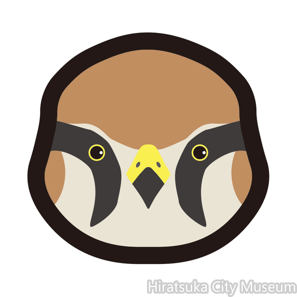 チョウゲンボウ.png