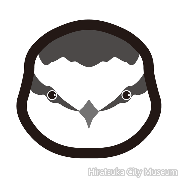 ハクセキレイ.png