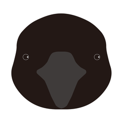 ハシブトガラス
