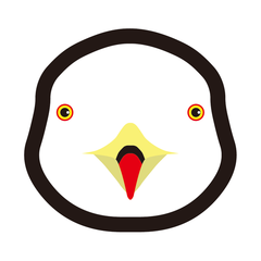 ウミネコ