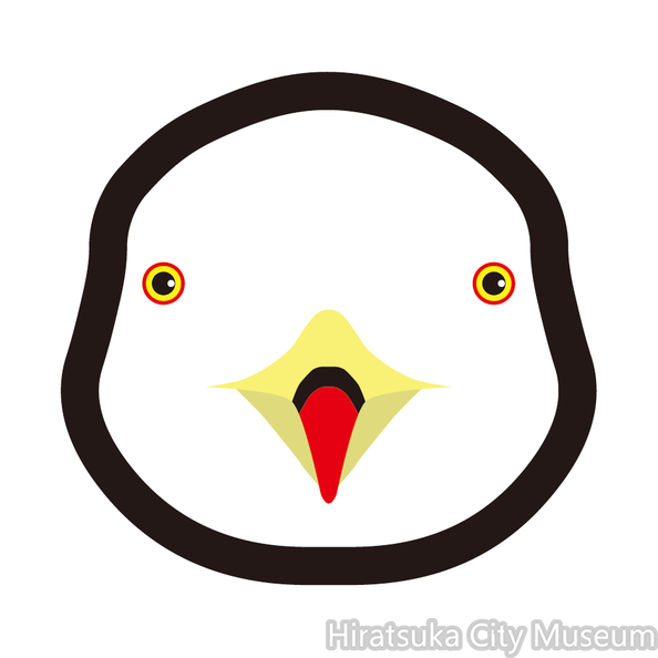 ウミネコ.png