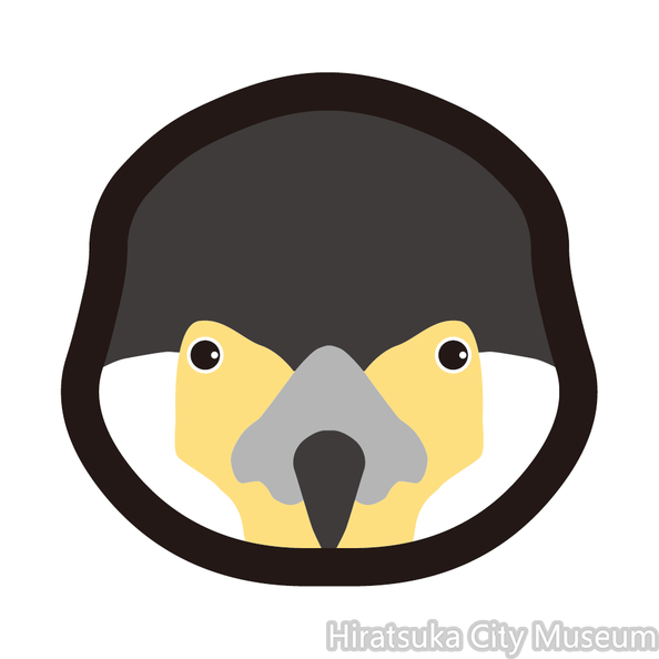 カワウ.png