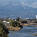 カワアイサのいる風景2024.02.07平塚（撮影　岡根武彦）