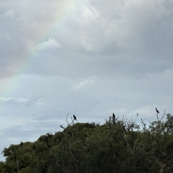 いろいろな虹（撮影　岩田国弘）　