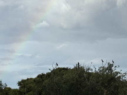 虹2025.09.11 午前6時32分平塚大橋北（撮影　岩田国弘）