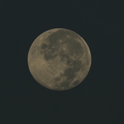 十六夜の月（撮影　鈴木真由美）