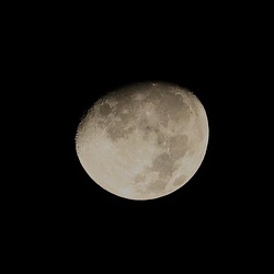 十三夜の月（撮影　鈴木真由美）