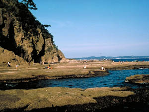 江ノ島の波食台