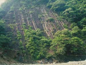 付加して直立した丹沢の地層