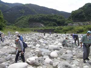 荒崎の火山豆石