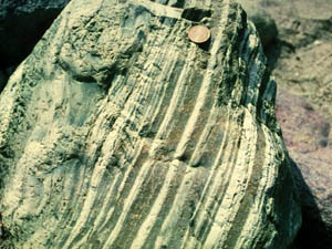 縞状デイサイト質細粒凝灰岩