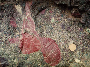 含赤色泥岩礫安山岩質凝灰角礫岩