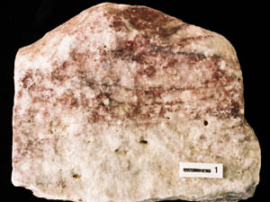 晶質石灰岩（赤大理石）