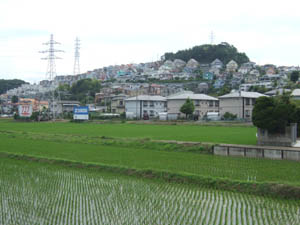 根坂間断層と日向岡断層の走る日向岡